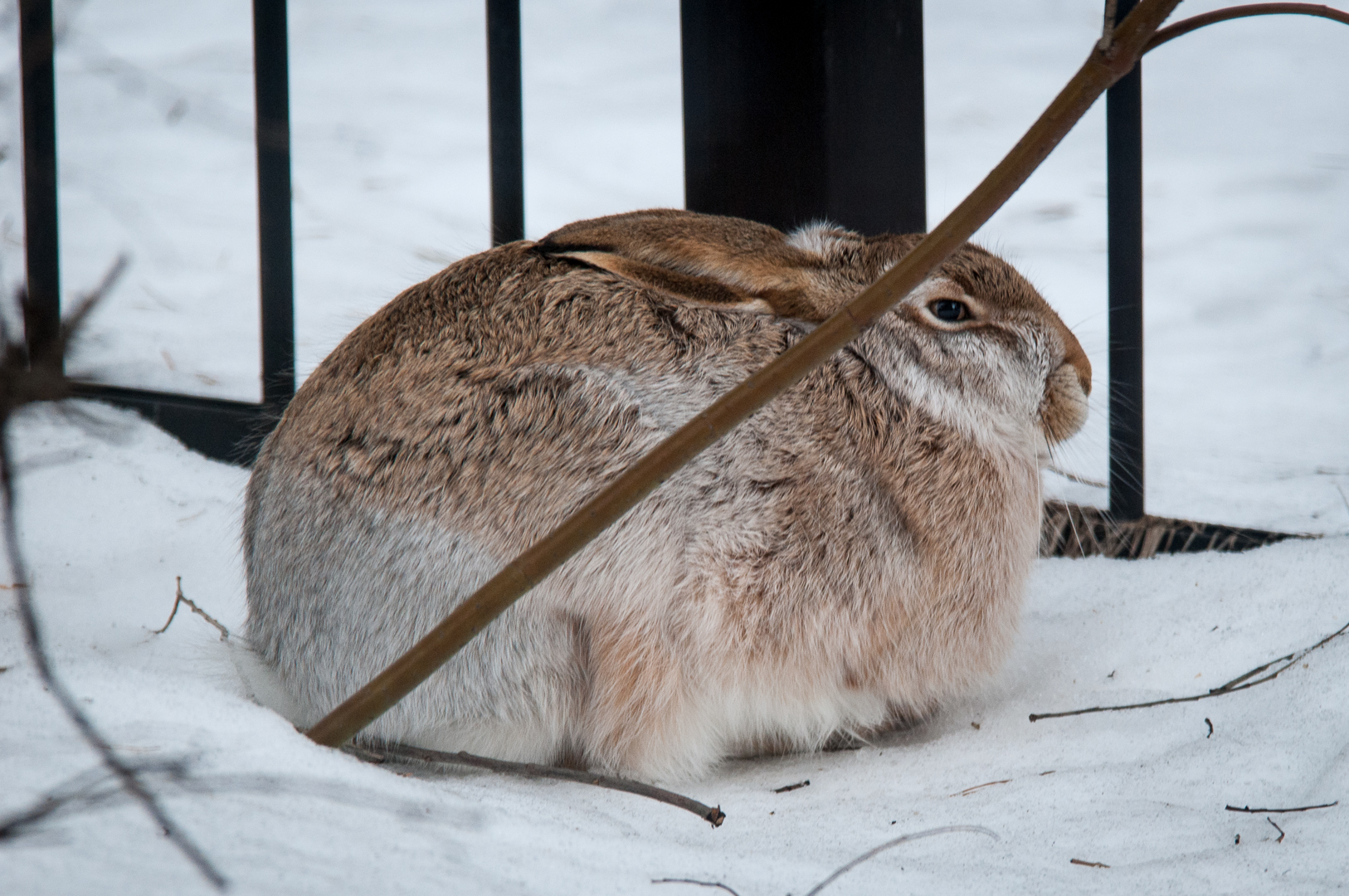 DSC_2782
